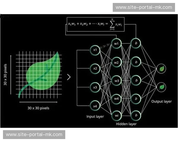 神经网络压缩算法突破，移动端AI处理效能提升