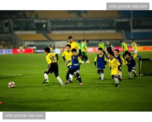 各队已开启备战节奏，新人融入与阵容磨合成训练营关键词